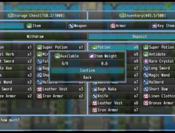 DM Limited Inventory MZ Plugin